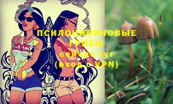 MESCALINE Бородино
