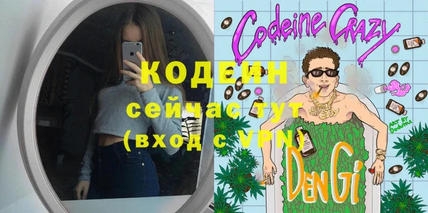 индика Богданович