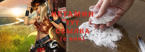 сатива Бронницы