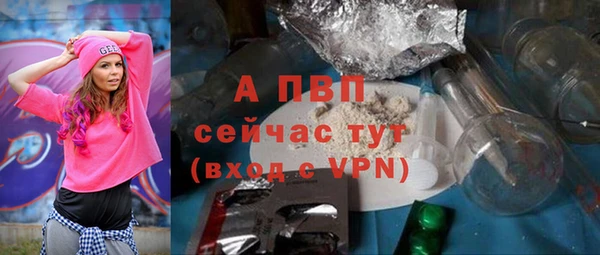 индика Богданович